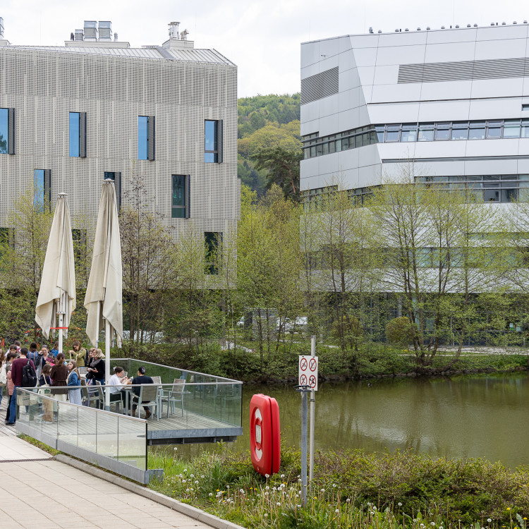 Vorschau Girls´ Day 2022 im ISTA
