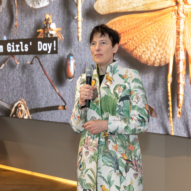 Girls' Day im Zeichen von Wissenschaft und Forschung: Bildungsminister begleitet Schülerinnen ins Naturhistorische Museum - Bild Nr. 12192