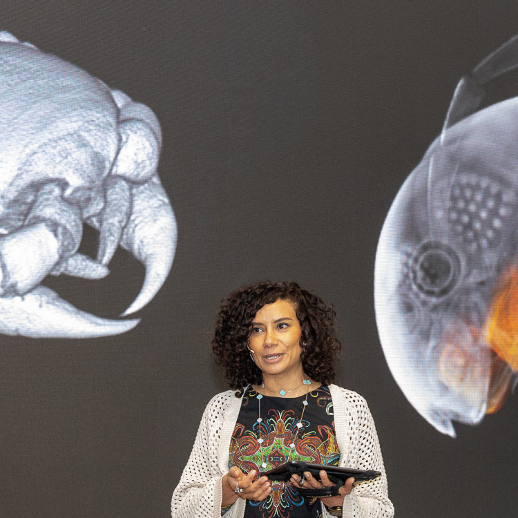 Girls' Day im Zeichen von Wissenschaft und Forschung: Bildungsminister begleitet Schülerinnen ins Naturhistorische Museum - Bild Nr. 12218