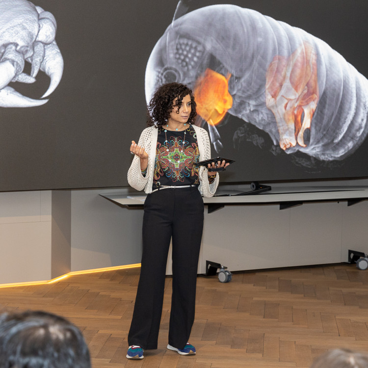 Girls' Day im Zeichen von Wissenschaft und Forschung: Bildungsminister begleitet Schülerinnen ins Naturhistorische Museum - Bild Nr. 12219