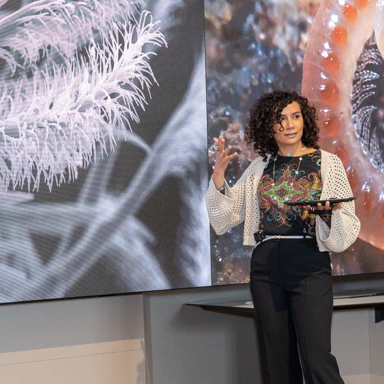 Girls' Day im Zeichen von Wissenschaft und Forschung: Bildungsminister begleitet Schülerinnen ins Naturhistorische Museum - Bild Nr. 12227