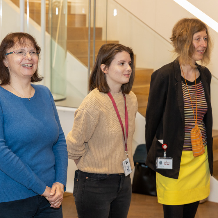 Girls' Day im Zeichen von Wissenschaft und Forschung: Bildungsminister begleitet Schülerinnen ins Naturhistorische Museum - Bild Nr. 12204