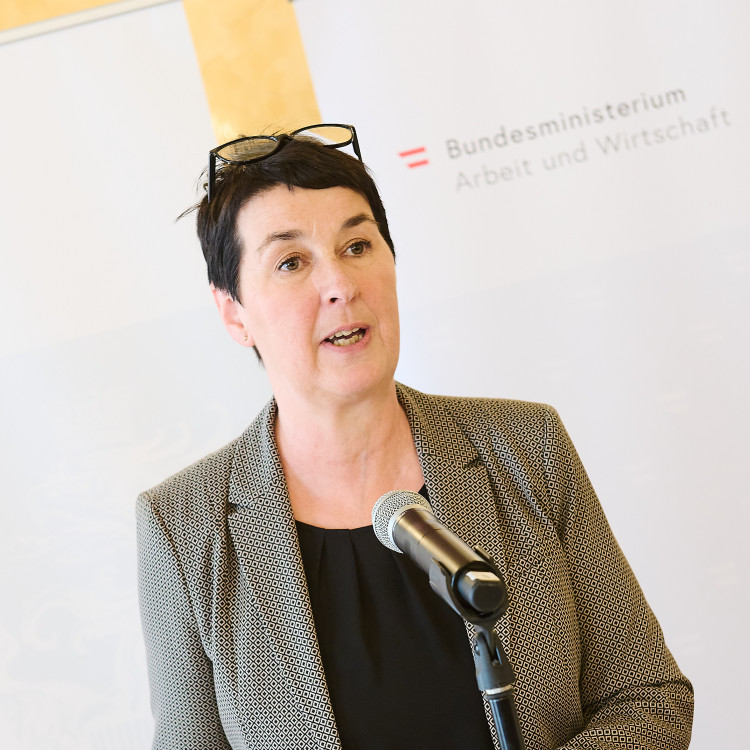 Verleihung des Österreichischen Staatspreises für Erwachsenenbildung 2024 - Bild Nr. 13392