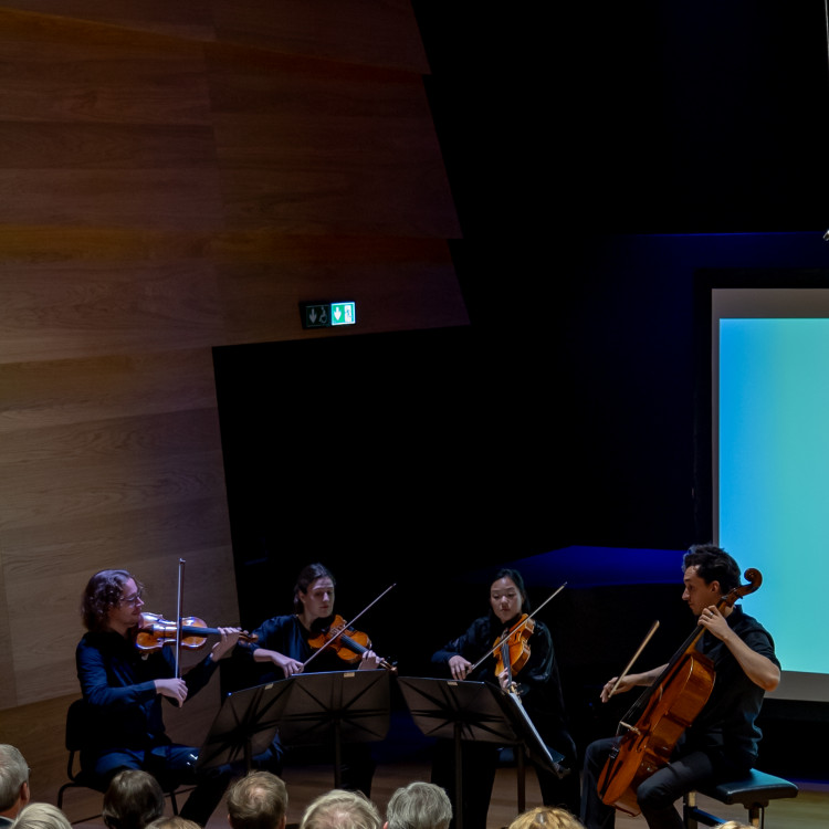 Austrian Art Alumni Award 2025 - Bild Nr. 16166